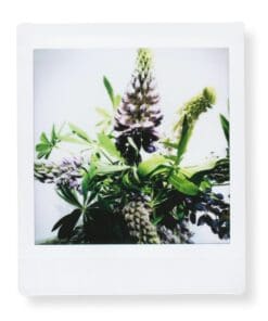 Alternative view of FUJIFILM INSTAX SQUARE 富士即影即有正方形菲林相紙 (白邊框孖裝)