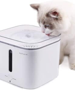 Alternative view of PETKIT EVERSWEET 第 2 代寵物智能飲水機