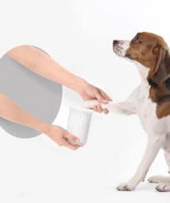 PETKIT EVERCLEAN 泡泡洗腳杯