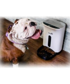 Alternative view of PETWANT 寵物智能餵食器 (有鏡頭版)