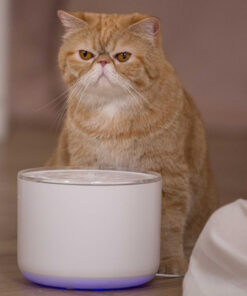 Alternative view of MIIIBO 貓咪寶鋅離子無線水泵寵物智能飲水機