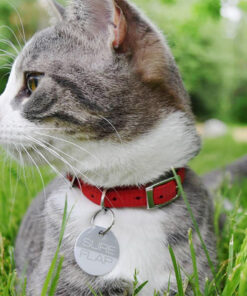 Alternative view of SURE PETCARE SUREFEED RFID 芯片識別牌 (2 片裝)