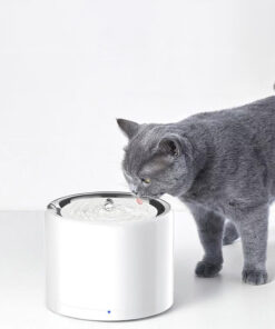 PETKIT EVERSWEET 第 6 代無線水泵不銹鋼寵物智能飲水機