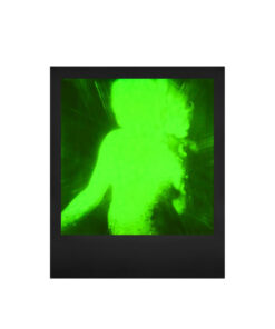 Alternative view of POLAROID GREEN 600 FILM (BLACK & GREEN DUOCHROME EDITION) 寶麗來即影即有菲林相紙 (黑綠雙色)