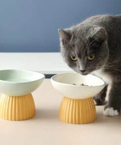 萌寵韓式斜口貓碗套裝 (一套 3 個)