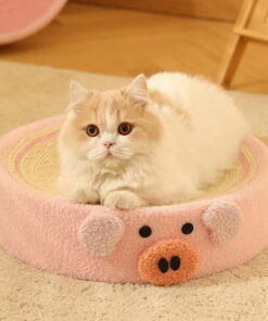 萌寵圓形貓抓板