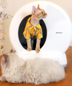 Alternative view of AIRROBO 空氣蘿蔔智能貓廁所