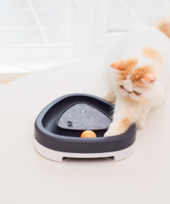 Alternative view of 寵物轉盤自動逗貓器