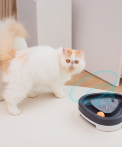 寵物轉盤自動逗貓器