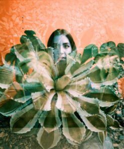 Alternative view of LOMOGRAPHY ANALOGUE TRIO 35mm 菲林三重奏套裝連金屬菲林罐 (3 X 36 張底片)