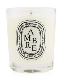 DIPTYQUE (AMBRE) 蒂普提克香氛蠟燭 (琥珀)