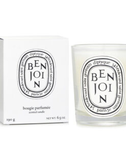 Alternative view of DIPTYQUE (BENJOIN) 蒂普提克香氛蠟燭 (安息香) 190G / 6.5OZ