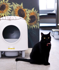 Alternative view of PETREE 第二代全自動智能貓廁所