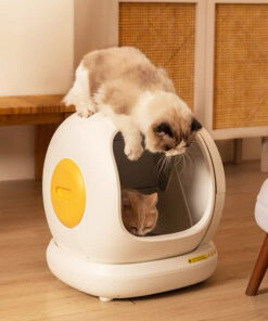 Alternative view of AIRROBO C20 空氣蘿蔔全自動智能貓廁所