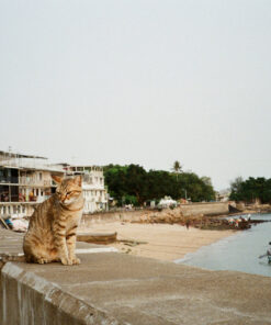 RETO RETOCOLOR PRISM 200 DAYLIGHT 35mm 135 彩色負片菲林底片 (36 張)：圖片 5